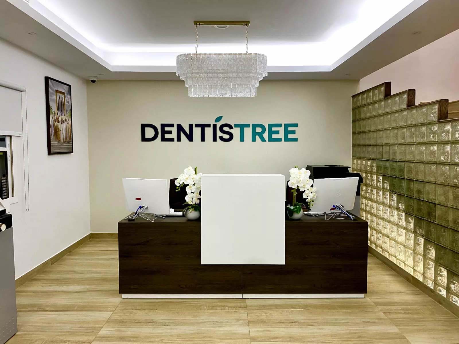 DentisTree Dental Clinic Dubai Modern Clinical Facility